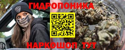 сатива Кингисепп
