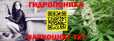 сатива Кингисепп