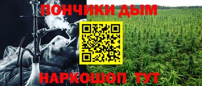 PSILOCYBIN Кимры