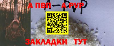 сатива Кингисепп