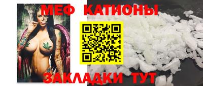 сатива Кингисепп